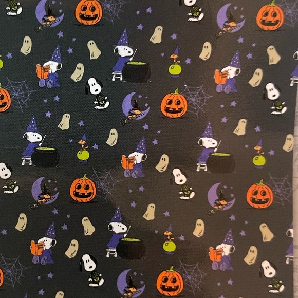 Peanuts Snoopy and Woodstock Halloween plush throw blanket 50x70 - Picture 1 of 4